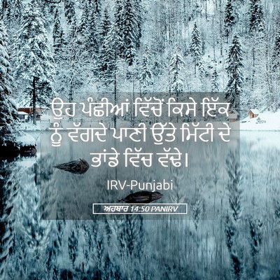 Picture 05 - ਅਹਬਾਰ 14:50 PANIRV - ਉਹ ਪੰਛੀਆਂ ਵਿੱਚੋਂ - Bible Verse Picture