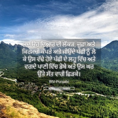 Picture 05 - ਅਹਬਾਰ 14:51 PANIRV - ਤਦ ਉਹ ਦਿਆਰ ਦੀ ਲੱਕੜ, - Bible Verse Picture