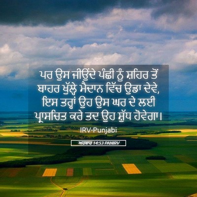 Picture 05 - ਅਹਬਾਰ 14:53 PANIRV - ਪਰ ਉਸ ਜੀਉਂਦੇ ਪੰਛੀ - Bible Verse Picture