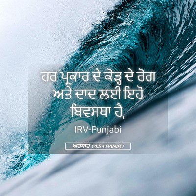 Picture 05 - ਅਹਬਾਰ 14:54 PANIRV - ਹਰ ਪ੍ਰਕਾਰ ਦੇ ਕੋੜ੍ਹ - Bible Verse Picture