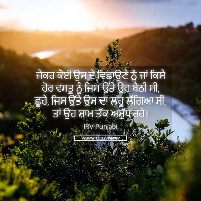 Picture 05 - ਅਹਬਾਰ 15:23 PANIRV - ਜੇਕਰ ਕੋਈ ਉਸ ਦੇ - Bible Verse Picture