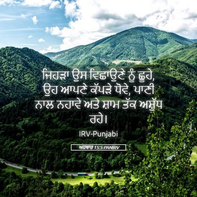 Picture 05 - ਅਹਬਾਰ 15:5 PANIRV - ਜਿਹੜਾ ਉਸ ਵਿਛਾਉਣੇ - Bible Verse Picture