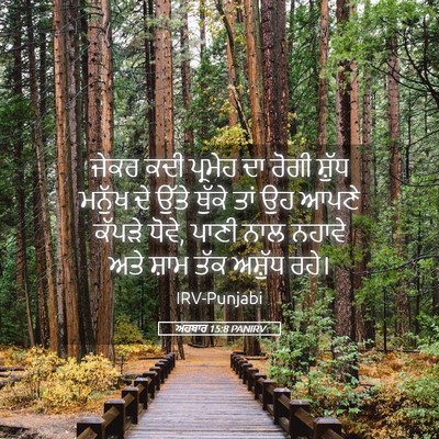 Picture 05 - ਅਹਬਾਰ 15:8 PANIRV - ਜੇਕਰ ਕਦੀ ਪ੍ਰਮੇਹ ਦਾ - Bible Verse Picture