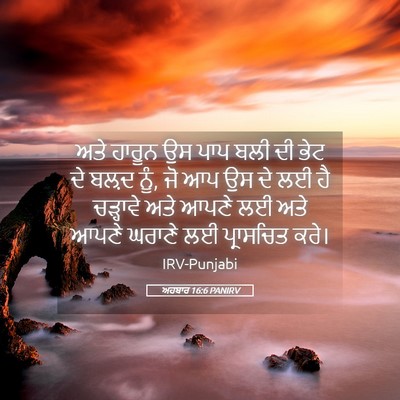 Picture 05 - ਅਹਬਾਰ 16:6 PANIRV - ਅਤੇ ਹਾਰੂਨ ਉਸ ਪਾਪ - Bible Verse Picture