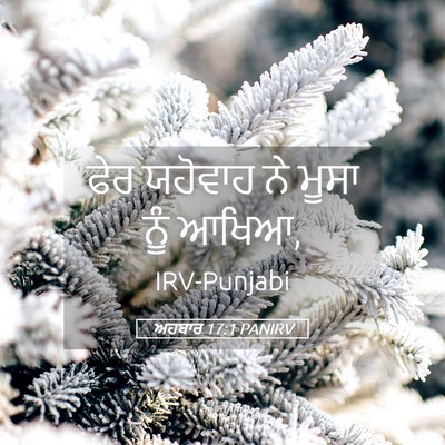 Picture 05 - ਅਹਬਾਰ 17:1 PANIRV - ਫੇਰ ਯਹੋਵਾਹ ਨੇ ਮੂਸਾ - Bible Verse Picture