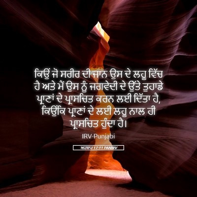 Picture 05 - ਅਹਬਾਰ 17:11 PANIRV - ਕਿਉਂ ਜੋ ਸਰੀਰ ਦੀ ਜਾਨ - Bible Verse Picture