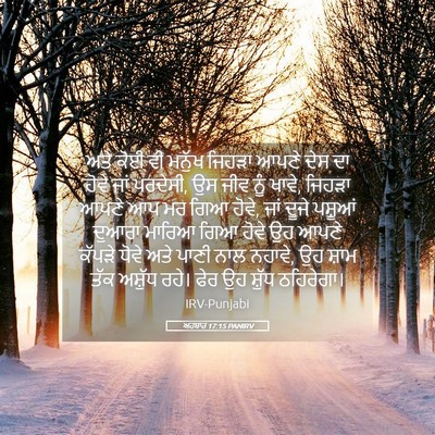 Picture 05 - ਅਹਬਾਰ 17:15 PANIRV - ਅਤੇ ਕੋਈ ਵੀ ਮਨੁੱਖ - Bible Verse Picture