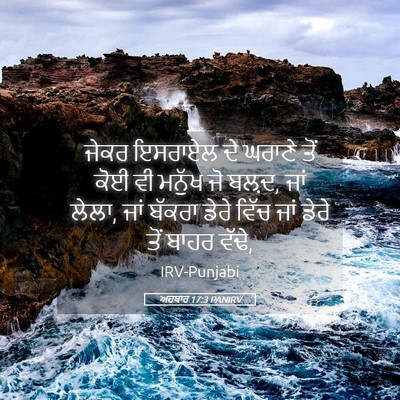 Picture 05 - ਅਹਬਾਰ 17:3 PANIRV - ਜੇਕਰ ਇਸਰਾਏਲ ਦੇ - Bible Verse Picture
