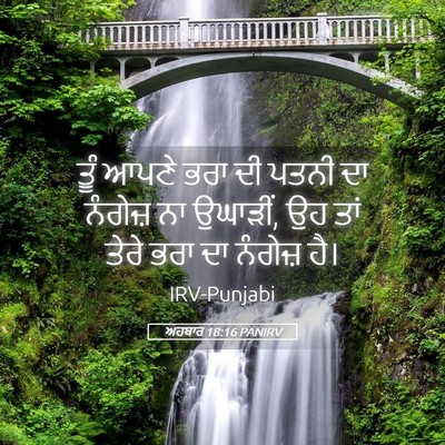 Picture 05 - ਅਹਬਾਰ 18:16 PANIRV - ਤੂੰ ਆਪਣੇ ਭਰਾ ਦੀ - Bible Verse Picture
