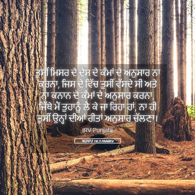 Picture 05 - ਅਹਬਾਰ 18:3 PANIRV - ਤੁਸੀਂ ਮਿਸਰ ਦੇ ਦੇਸ - Bible Verse Picture