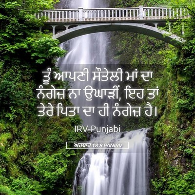 Picture 05 - ਅਹਬਾਰ 18:8 PANIRV - ਤੂੰ ਆਪਣੀ ਸੌਤੇਲੀ - Bible Verse Picture