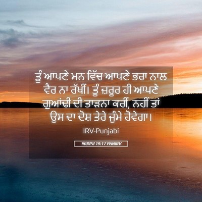 Picture 05 - ਅਹਬਾਰ 19:17 PANIRV - ਤੂੰ ਆਪਣੇ ਮਨ ਵਿੱਚ - Bible Verse Picture