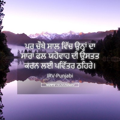 Picture 05 - ਅਹਬਾਰ 19:24 PANIRV - ਪਰ ਚੌਥੇ ਸਾਲ ਵਿੱਚ - Bible Verse Picture