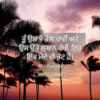 Picture 05 - ਅਹਬਾਰ 2:15 PANIRV - ਤੂੰ ਉਸ ਤੇ ਤੇਲ ਪਾਵੀਂ - Bible Verse Picture
