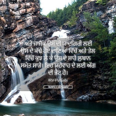 Picture 05 - ਅਹਬਾਰ 2:16 PANIRV - ਅਤੇ ਜਾਜਕ ਉਸ ਦੀ - Bible Verse Picture