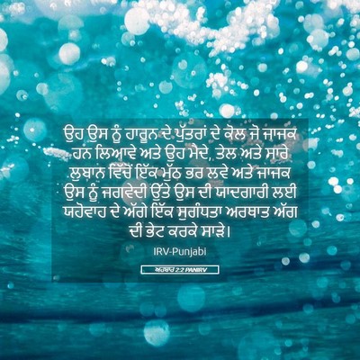 Picture 05 - ਅਹਬਾਰ 2:2 PANIRV - ਉਹ ਉਸ ਨੂੰ ਹਾਰੂਨ ਦੇ - Bible Verse Picture