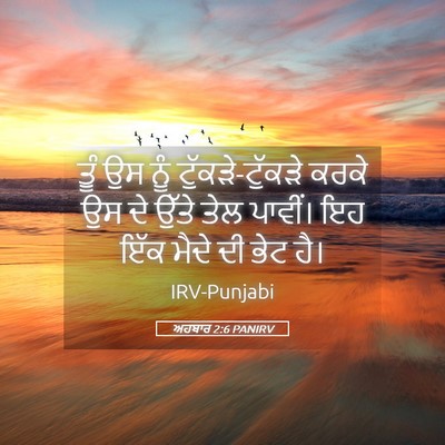 Picture 05 - ਅਹਬਾਰ 2:6 PANIRV - ਤੂੰ ਉਸ ਨੂੰ - Bible Verse Picture