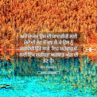 Picture 05 - ਅਹਬਾਰ 2:9 PANIRV - ਅਤੇ ਜਾਜਕ ਉਸ ਦੀ - Bible Verse Picture