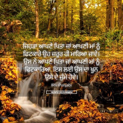Picture 05 - ਅਹਬਾਰ 20:9 PANIRV - ਜਿਹੜਾ ਆਪਣੇ ਪਿਤਾ - Bible Verse Picture