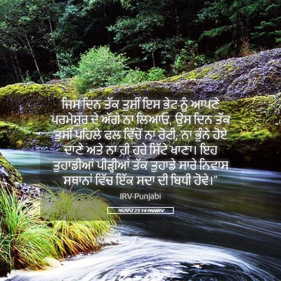 Picture 05 - ਅਹਬਾਰ 23:14 PANIRV - ਜਿਸ ਦਿਨ ਤੱਕ ਤੁਸੀਂ - Bible Verse Picture