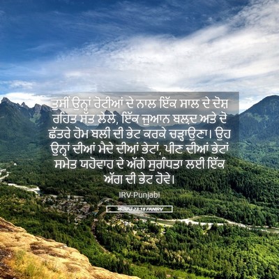 Picture 05 - ਅਹਬਾਰ 23:18 PANIRV - ਤੁਸੀਂ ਉਨ੍ਹਾਂ - Bible Verse Picture