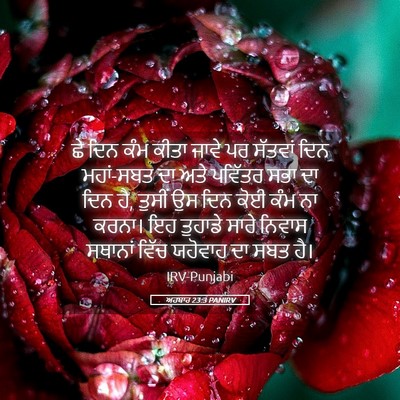 Picture 05 - ਅਹਬਾਰ 23:3 PANIRV - ਛੇ ਦਿਨ ਕੰਮ ਕੀਤਾ - Bible Verse Picture