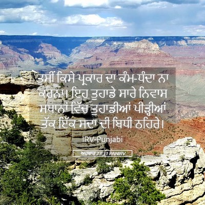Picture 05 - ਅਹਬਾਰ 23:31 PANIRV - ਤੁਸੀਂ ਕਿਸੇ ਪ੍ਰਕਾਰ - Bible Verse Picture
