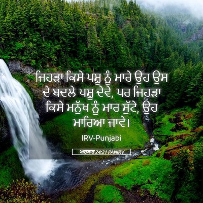Picture 05 - ਅਹਬਾਰ 24:21 PANIRV - ਜਿਹੜਾ ਕਿਸੇ ਪਸ਼ੂ - Bible Verse Picture