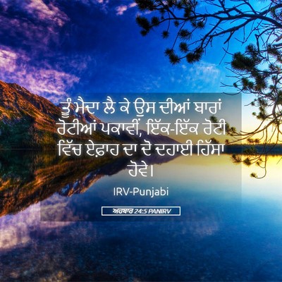 Picture 05 - ਅਹਬਾਰ 24:5 PANIRV - ਤੂੰ ਮੈਦਾ ਲੈ ਕੇ ਉਸ - Bible Verse Picture