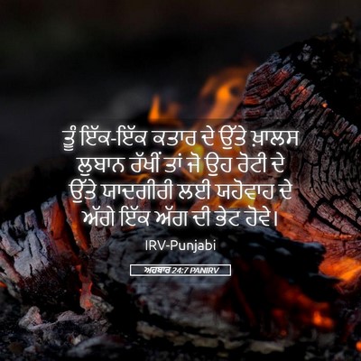 Picture 05 - ਅਹਬਾਰ 24:7 PANIRV - ਤੂੰ ਇੱਕ-ਇੱਕ ਕਤਾਰ ਦੇ - Bible Verse Picture