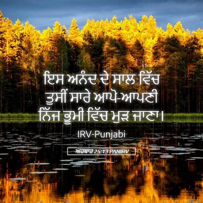 Picture 05 - ਅਹਬਾਰ 25:13 PANIRV - ਇਸ ਅਨੰਦ ਦੇ ਸਾਲ ਵਿੱਚ - Bible Verse Picture