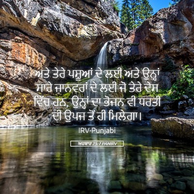 Picture 05 - ਅਹਬਾਰ 25:7 PANIRV - ਅਤੇ ਤੇਰੇ ਪਸ਼ੂਆਂ ਦੇ - Bible Verse Picture