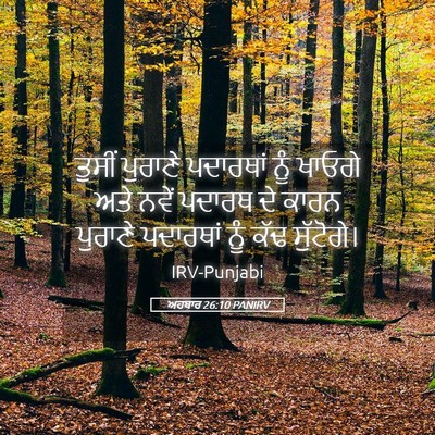 Picture 05 - ਅਹਬਾਰ 26:10 PANIRV - ਤੁਸੀਂ ਪੁਰਾਣੇ - Bible Verse Picture