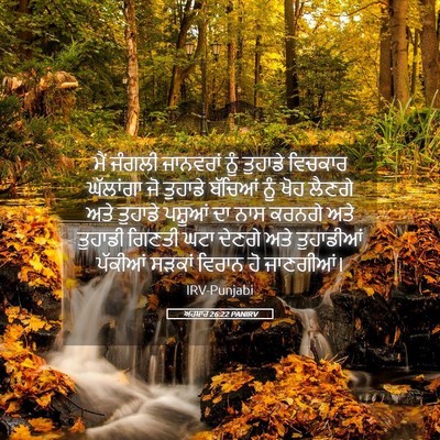 Picture 05 - ਅਹਬਾਰ 26:22 PANIRV - ਮੈਂ ਜੰਗਲੀ ਜਾਨਵਰਾਂ - Bible Verse Picture