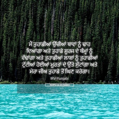 Picture 05 - ਅਹਬਾਰ 26:30 PANIRV - ਮੈਂ ਤੁਹਾਡੀਆਂ - Bible Verse Picture