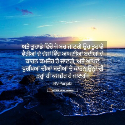 Picture 05 - ਅਹਬਾਰ 26:39 PANIRV - ਅਤੇ ਤੁਹਾਡੇ ਵਿੱਚੋਂ - Bible Verse Picture
