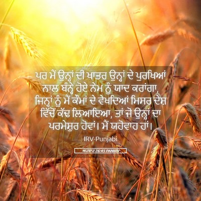 Picture 05 - ਅਹਬਾਰ 26:45 PANIRV - ਪਰ ਮੈਂ ਉਨ੍ਹਾਂ ਦੀ - Bible Verse Picture