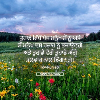 Picture 05 - ਅਹਬਾਰ 26:8 PANIRV - ਤੁਹਾਡੇ ਵਿੱਚੋਂ ਪੰਜ - Bible Verse Picture