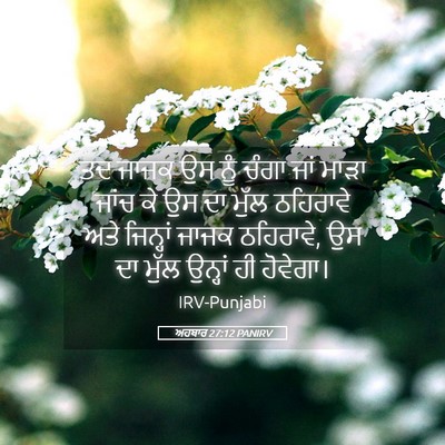 Picture 05 - ਅਹਬਾਰ 27:12 PANIRV - ਤਦ ਜਾਜਕ ਉਸ ਨੂੰ ਚੰਗਾ - Bible Verse Picture
