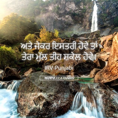 Picture 05 - ਅਹਬਾਰ 27:4 PANIRV - ਅਤੇ ਜੇਕਰ ਇਸਤਰੀ - Bible Verse Picture