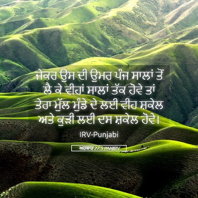 Picture 05 - ਅਹਬਾਰ 27:5 PANIRV - ਜੇਕਰ ਉਸ ਦੀ ਉਮਰ ਪੰਜ - Bible Verse Picture