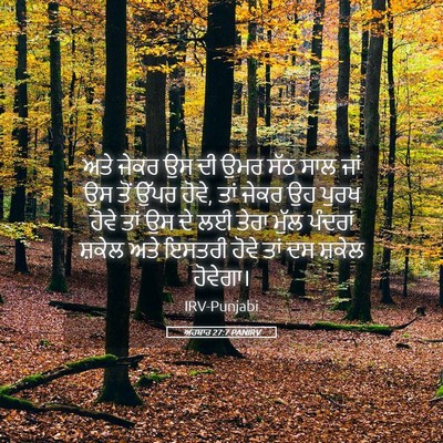 Picture 05 - ਅਹਬਾਰ 27:7 PANIRV - ਅਤੇ ਜੇਕਰ ਉਸ ਦੀ ਉਮਰ - Bible Verse Picture