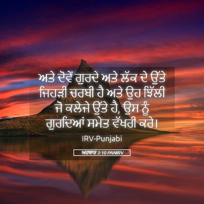 Picture 05 - ਅਹਬਾਰ 3:10 PANIRV - ਅਤੇ ਦੋਵੇਂ ਗੁਰਦੇ - Bible Verse Picture