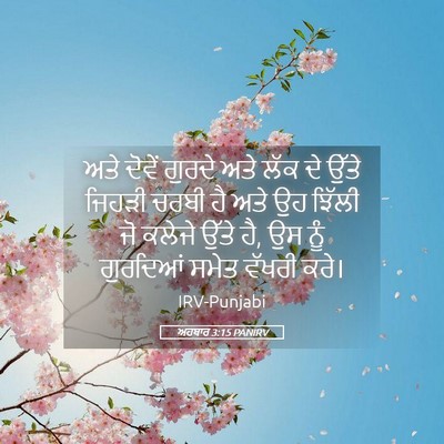 Picture 05 - ਅਹਬਾਰ 3:15 PANIRV - ਅਤੇ ਦੋਵੇਂ ਗੁਰਦੇ - Bible Verse Picture