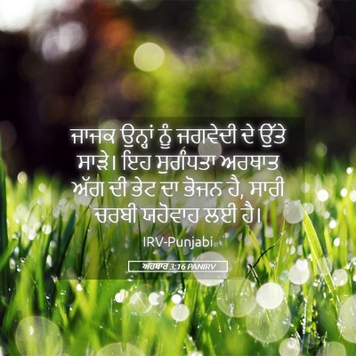 Picture 05 - ਅਹਬਾਰ 3:16 PANIRV - ਜਾਜਕ ਉਨ੍ਹਾਂ ਨੂੰ - Bible Verse Picture