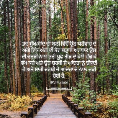 Picture 05 - ਅਹਬਾਰ 3:9 PANIRV - ਤਦ ਸੁੱਖ-ਸਾਂਦ ਦੀ ਬਲੀ - Bible Verse Picture