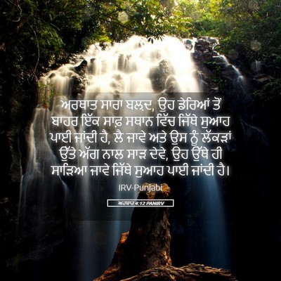 Picture 05 - ਅਹਬਾਰ 4:12 PANIRV - ਅਰਥਾਤ ਸਾਰਾ ਬਲ਼ਦ, ਉਹ - Bible Verse Picture