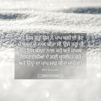 Picture 05 - ਅਹਬਾਰ 4:20 PANIRV - ਅਤੇ ਜਿਸ ਤਰ੍ਹਾਂ ਉਸ - Bible Verse Picture