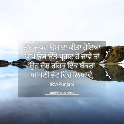 Picture 05 - ਅਹਬਾਰ 4:23 PANIRV - ਤਦ ਜੇਕਰ ਉਸ ਦਾ ਕੀਤਾ - Bible Verse Picture