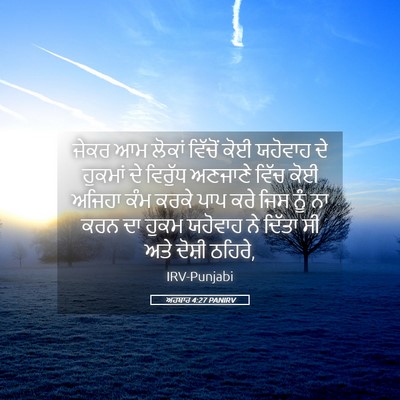 Picture 05 - ਅਹਬਾਰ 4:27 PANIRV - ਜੇਕਰ ਆਮ ਲੋਕਾਂ - Bible Verse Picture